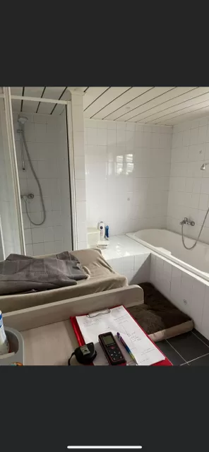 VOOR DE RENO